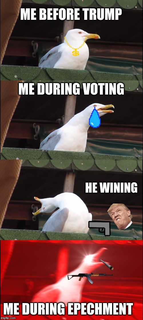 Inhaling Seagull | ME BEFORE TRUMP; ME DURING VOTING; HE WINING; ME DURING EPECHMENT | image tagged in memes,inhaling seagull | made w/ Imgflip meme maker