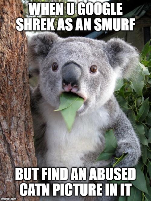 Surprised Koala Meme | WHEN U GOOGLE SHREK AS AN SMURF; BUT FIND AN ABUSED CATN PICTURE IN IT | image tagged in memes,surprised koala | made w/ Imgflip meme maker