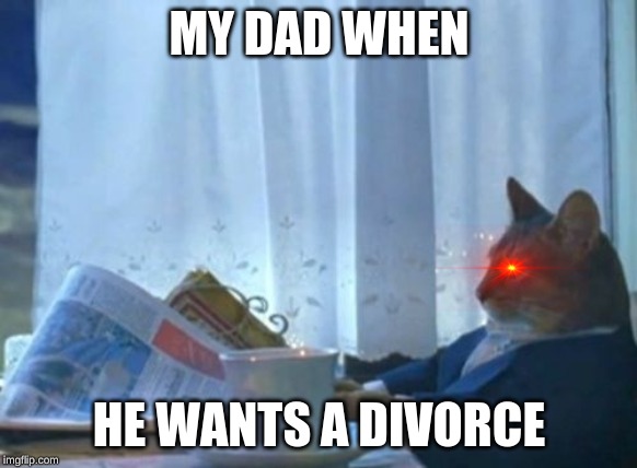 I Should Buy A Boat Cat | MY DAD WHEN; HE WANTS A DIVORCE | image tagged in memes,i should buy a boat cat | made w/ Imgflip meme maker