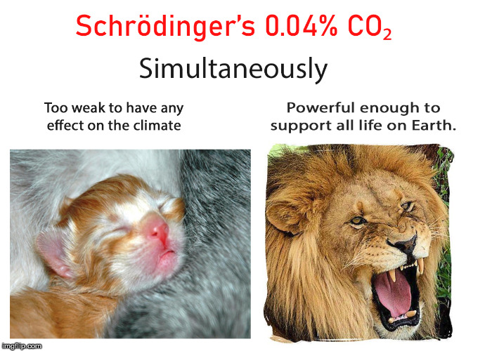 image tagged in climate change,global warming,kitten,lion,co2,carbon dioxide | made w/ Imgflip meme maker