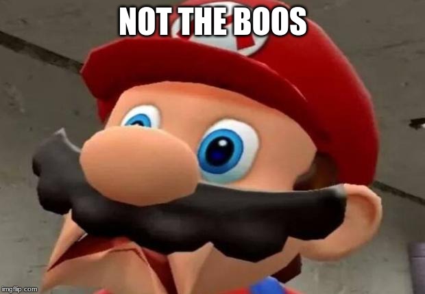 Mario WTF | NOT THE BOOS | image tagged in mario wtf | made w/ Imgflip meme maker