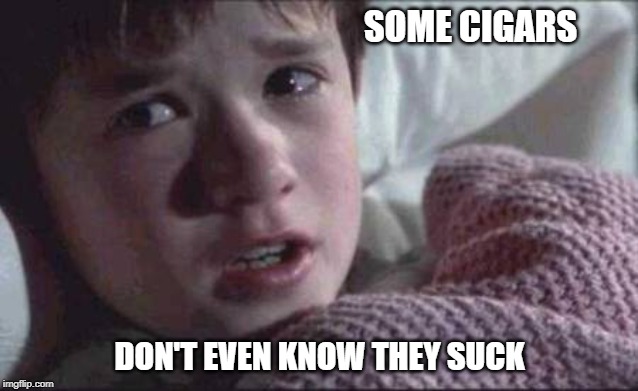 I See Dead People Meme | SOME CIGARS; DON'T EVEN KNOW THEY SUCK | image tagged in memes,i see dead people | made w/ Imgflip meme maker