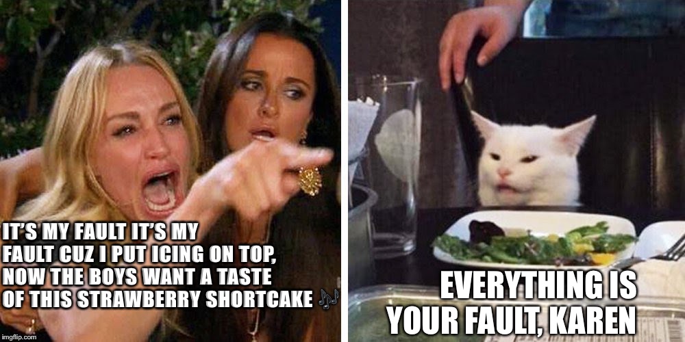 Smudge the cat | IT’S MY FAULT IT’S MY FAULT CUZ I PUT ICING ON TOP, NOW THE BOYS WANT A TASTE OF THIS STRAWBERRY SHORTCAKE 🎶; EVERYTHING IS YOUR FAULT, KAREN | image tagged in smudge the cat | made w/ Imgflip meme maker