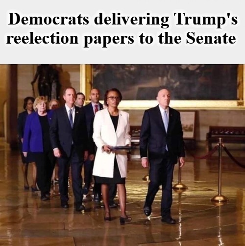 Democrats delivering Trump's reelection papers to the Senate | image tagged in crying liberals,sedition,treason,trump impeachment,impeachment scam,perjury | made w/ Imgflip meme maker