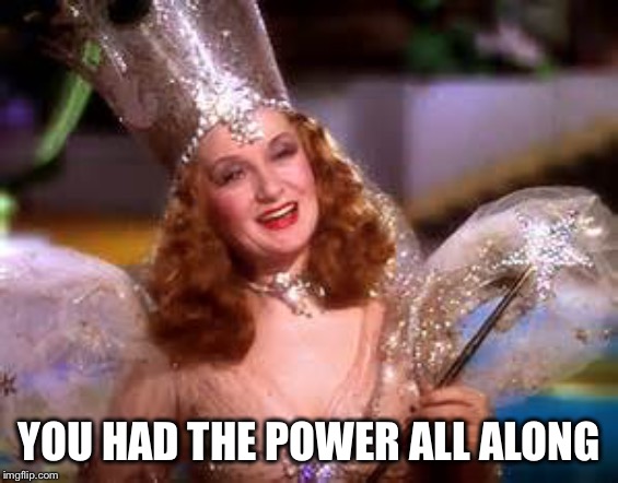 glenda witch | YOU HAD THE POWER ALL ALONG | image tagged in glenda witch | made w/ Imgflip meme maker