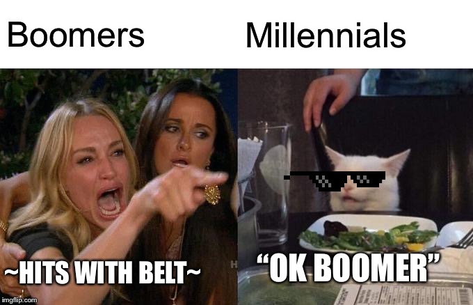 Woman Yelling At Cat | Boomers; Millennials; “OK BOOMER”; ~HITS WITH BELT~ | image tagged in memes,woman yelling at cat | made w/ Imgflip meme maker