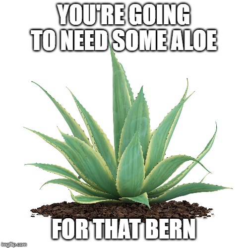 YOU'RE GOING TO NEED SOME ALOE FOR THAT BERN | made w/ Imgflip meme maker