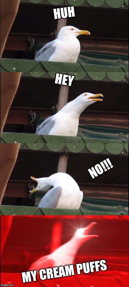 Inhaling Seagull Meme | HUH; HEY; NO!!! MY CREAM PUFFS | image tagged in memes,inhaling seagull | made w/ Imgflip meme maker