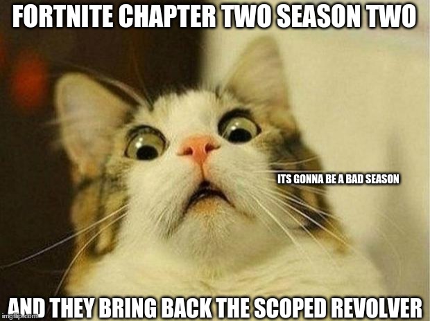 Scared Cat | FORTNITE CHAPTER TWO SEASON TWO; ITS GONNA BE A BAD SEASON; AND THEY BRING BACK THE SCOPED REVOLVER | image tagged in memes,scared cat | made w/ Imgflip meme maker