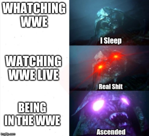 bad meme | WHATCHING WWE; WATCHING WWE LIVE; BEING IN THE WWE | image tagged in wwe,new template,meme | made w/ Imgflip meme maker