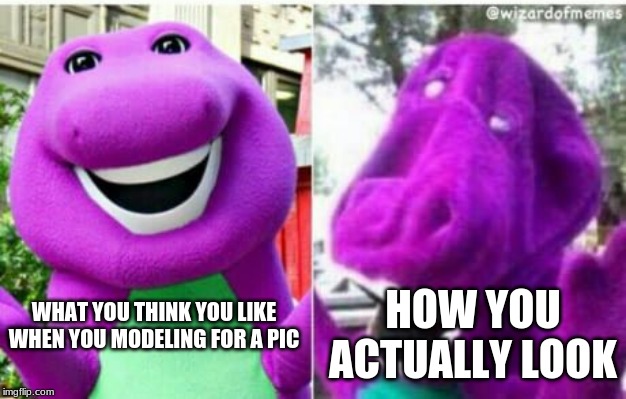 Facts | HOW YOU ACTUALLY LOOK; WHAT YOU THINK YOU LIKE WHEN YOU MODELING FOR A PIC | image tagged in funny memes | made w/ Imgflip meme maker