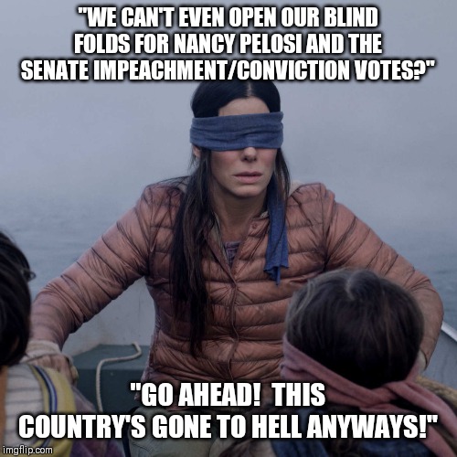 Tweety Bird Soap Opera Box! | "WE CAN'T EVEN OPEN OUR BLIND FOLDS FOR NANCY PELOSI AND THE SENATE IMPEACHMENT/CONVICTION VOTES?"; "GO AHEAD!  THIS COUNTRY'S GONE TO HELL ANYWAYS!" | image tagged in memes,bird box,senate,impeachment,vote,tweety bird | made w/ Imgflip meme maker