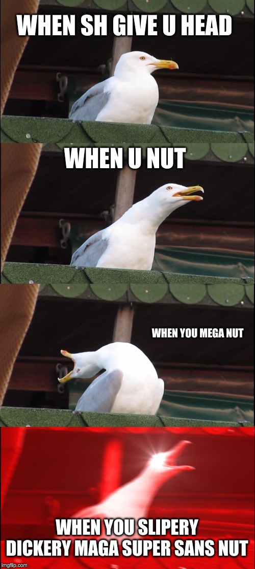 Inhaling Seagull | WHEN SH GIVE U HEAD; WHEN U NUT; WHEN YOU MEGA NUT; WHEN YOU SLIPERY DICKERY MAGA SUPER SANS NUT | image tagged in memes,inhaling seagull | made w/ Imgflip meme maker