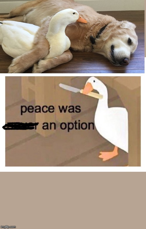 peace was never an option | image tagged in peace was never an option | made w/ Imgflip meme maker