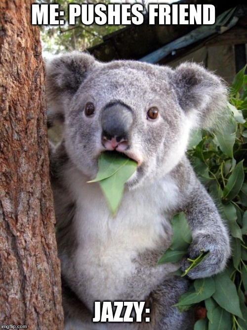 shocked koala | ME: PUSHES FRIEND; JAZZY: | image tagged in shocked koala | made w/ Imgflip meme maker