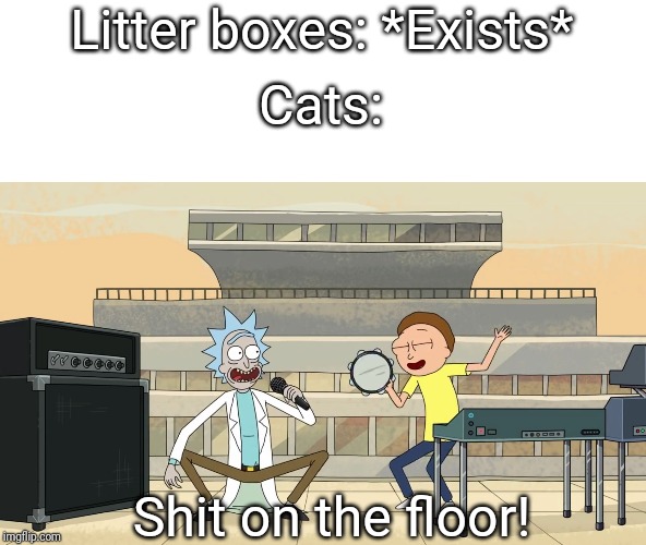 get schwifty shit on the floor | Litter boxes: *Exists*; Cats:; Shit on the floor! | image tagged in get schwifty shit on the floor | made w/ Imgflip meme maker