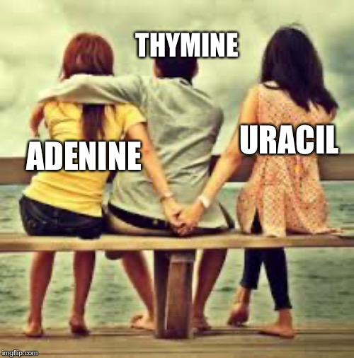 THYMINE; URACIL; ADENINE | image tagged in dna | made w/ Imgflip meme maker