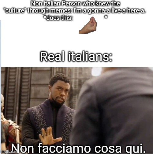 It is the truth | Non italian Person who knew the "culture" through memes: I'm a gonna-a live-a here-a. 
*does this:                     *; Real italians:; Non facciamo cosa qui. | image tagged in we don't do that here,italian,memes,bad | made w/ Imgflip meme maker