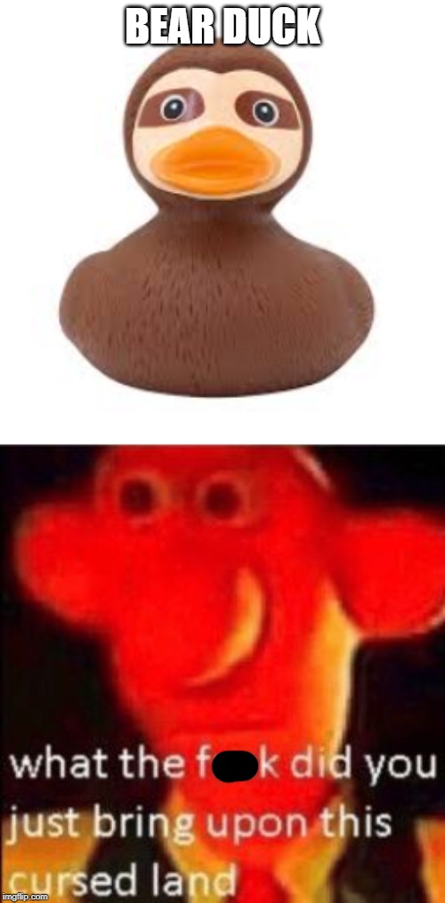 bear duck | BEAR DUCK | image tagged in what the fuck did you just bring upon this cursed land,funny,memes,bear,duck | made w/ Imgflip meme maker