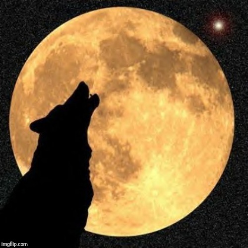 howlmoon | image tagged in howlmoon | made w/ Imgflip meme maker