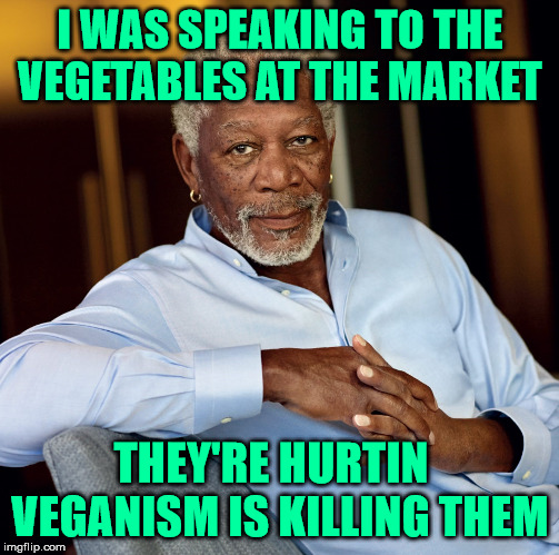 vegans | I WAS SPEAKING TO THE VEGETABLES AT THE MARKET; THEY'RE HURTIN   VEGANISM IS KILLING THEM | image tagged in vegans,veganism,killing,morgan freeman | made w/ Imgflip meme maker