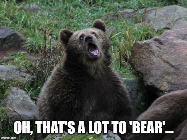Sarcastic Bear | OH, THAT'S A LOT TO 'BEAR'... | image tagged in sarcastic bear | made w/ Imgflip meme maker