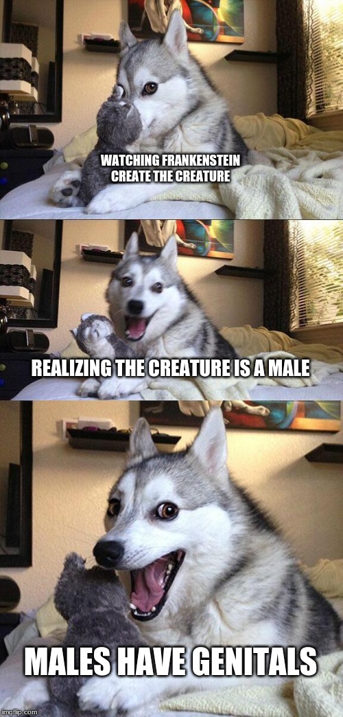Frankenstein MEME | WATCHING FRANKENSTEIN CREATE THE CREATURE; REALIZING THE CREATURE IS A MALE; MALES HAVE GENITALS | image tagged in memes,bad pun dog | made w/ Imgflip meme maker