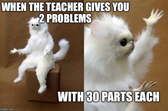 Persian Cat Room Guardian Meme | WHEN THE TEACHER GIVES YOU
2 PROBLEMS; WITH 30 PARTS EACH | image tagged in memes,persian cat room guardian | made w/ Imgflip meme maker