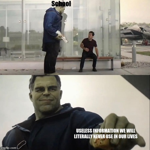Hulk Taco | School; USELESS INFORMATION WE WILL LITERALLY NEVER USE IN OUR LIVES | image tagged in hulk taco | made w/ Imgflip meme maker