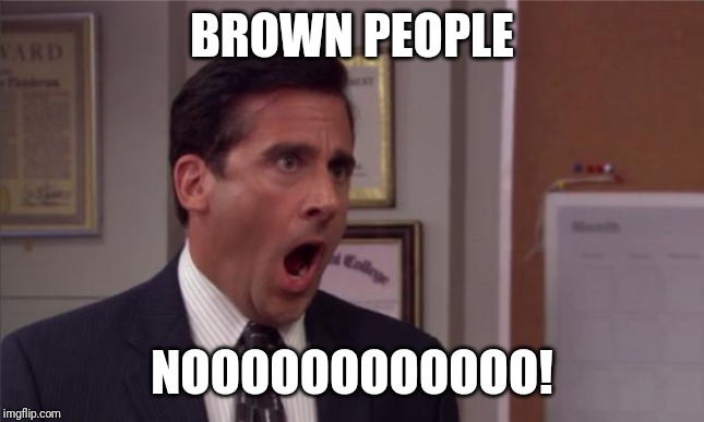 noooooo | BROWN PEOPLE NOOOOOOOOOOOO! | image tagged in noooooo | made w/ Imgflip meme maker