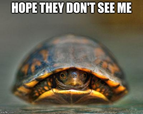 introverts | HOPE THEY DON'T SEE ME | image tagged in introverts | made w/ Imgflip meme maker