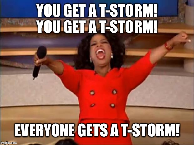 Oprah You Get A Meme | YOU GET A T-STORM! YOU GET A T-STORM! EVERYONE GETS A T-STORM! | image tagged in memes,oprah you get a,thunderstorm,bad weather | made w/ Imgflip meme maker