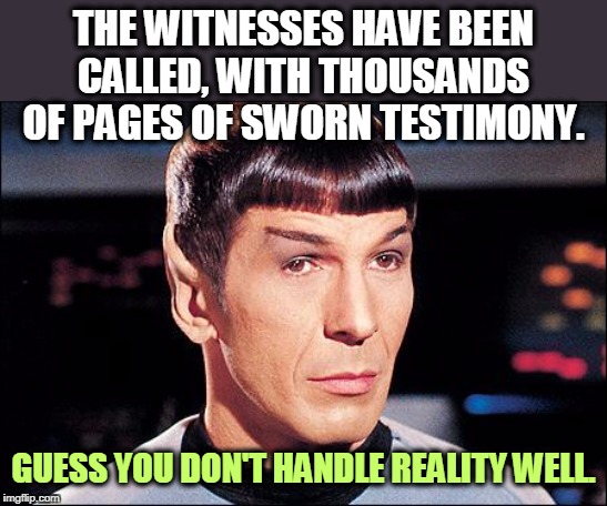 Condescending Spock | THE WITNESSES HAVE BEEN CALLED, WITH THOUSANDS OF PAGES OF SWORN TESTIMONY. GUESS YOU DON'T HANDLE REALITY WELL. | image tagged in condescending spock | made w/ Imgflip meme maker