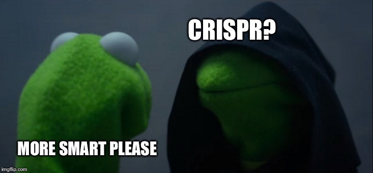 Evil Kermit Meme | CRISPR? MORE SMART PLEASE | image tagged in memes,evil kermit | made w/ Imgflip meme maker
