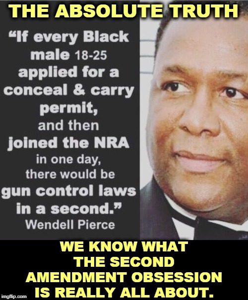 What gun nuts prefer not to discuss in public. But we know what's behind it. | THE ABSOLUTE TRUTH; WE KNOW WHAT THE SECOND AMENDMENT OBSESSION IS REALLY ALL ABOUT. | image tagged in second amendment gun control nra logic,gun control,second amendment,racism | made w/ Imgflip meme maker