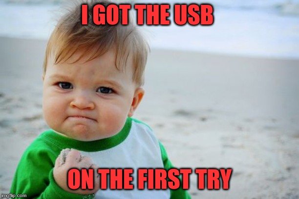 Success Kid Original Meme | I GOT THE USB; ON THE FIRST TRY | image tagged in memes,success kid original | made w/ Imgflip meme maker