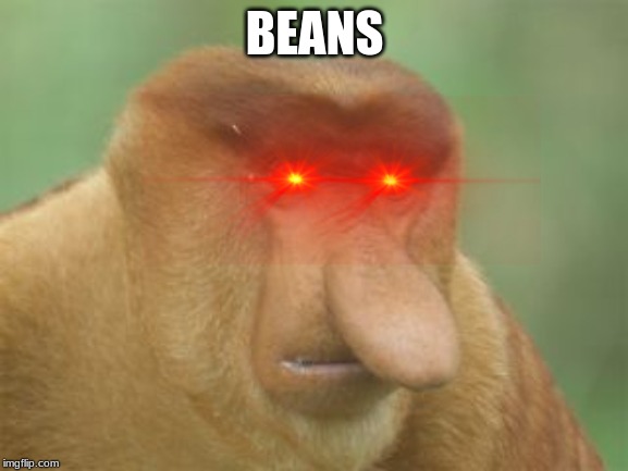 BEANS | image tagged in beans | made w/ Imgflip meme maker
