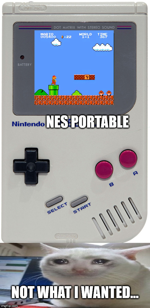 NES | NES PORTABLE; NOT WHAT I WANTED... | image tagged in plankton for game boy | made w/ Imgflip meme maker