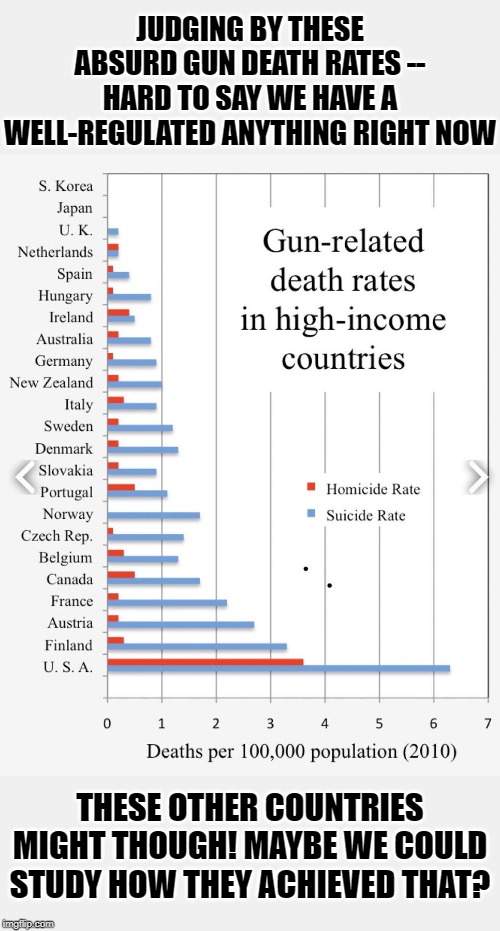 Gun deaths comparison by country (2010) | JUDGING BY THESE ABSURD GUN DEATH RATES -- HARD TO SAY WE HAVE A WELL-REGULATED ANYTHING RIGHT NOW THESE OTHER COUNTRIES MIGHT THOUGH! MAYBE | image tagged in gun deaths comparison by country 2010 | made w/ Imgflip meme maker