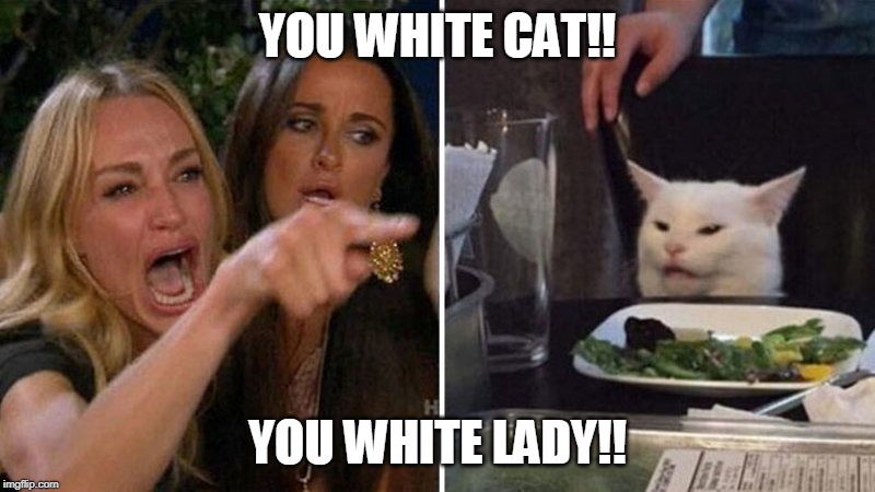 Woman yelling at white cat | YOU WHITE CAT!! YOU WHITE LADY!! | image tagged in woman yelling at white cat | made w/ Imgflip meme maker