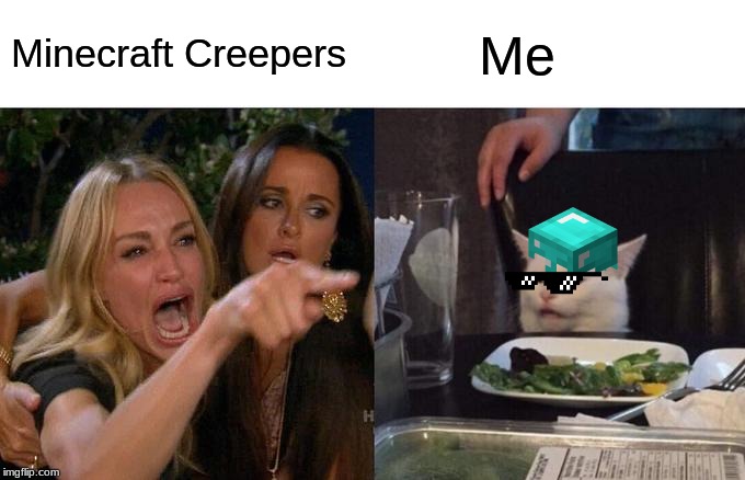 Woman Yelling At Cat | Minecraft Creepers; Me | image tagged in memes,woman yelling at cat | made w/ Imgflip meme maker