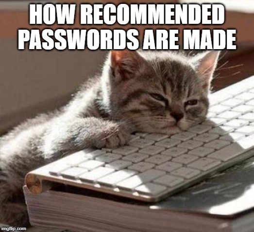 tired cat | HOW RECOMMENDED PASSWORDS ARE MADE | image tagged in tired cat | made w/ Imgflip meme maker