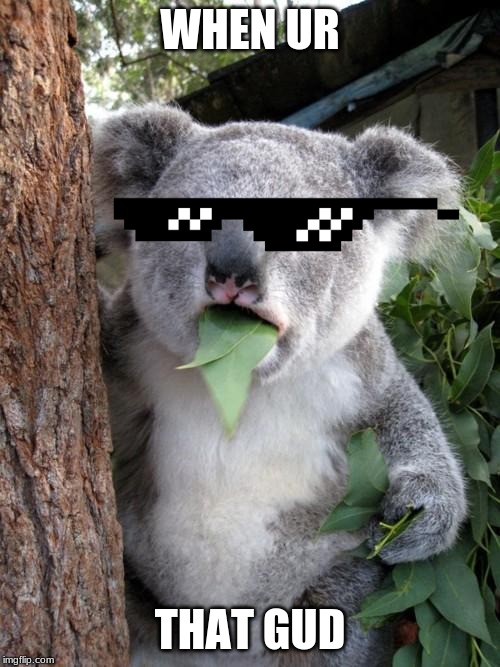 Surprised Koala Meme | WHEN UR; THAT GUD | image tagged in memes,surprised koala | made w/ Imgflip meme maker