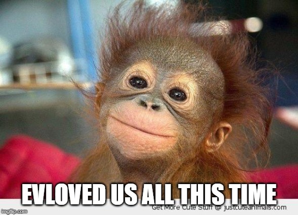 Cute Monkey | EVLOVED US ALL THIS TIME | image tagged in cute monkey | made w/ Imgflip meme maker