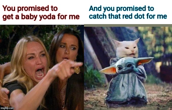 Woman yelling at baby yoda cat Blank Meme Template