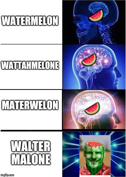 Expanding Brain Meme | WATERMELON; 🍉; 🍉; WATTAHMELONE; MATERWELON; 🍉; WALTER MALONE | image tagged in memes,expanding brain | made w/ Imgflip meme maker