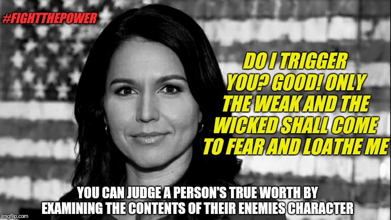 Let the triggering begin | #FIGHTTHEPOWER; DO I TRIGGER YOU? GOOD! ONLY THE WEAK AND THE WICKED SHALL COME TO FEAR AND LOATHE ME; YOU CAN JUDGE A PERSON'S TRUE WORTH BY EXAMINING THE CONTENTS OF THEIR ENEMIES CHARACTER | image tagged in tulsi gabbard,memes,politics,election 2020,democrats,triggered | made w/ Imgflip meme maker