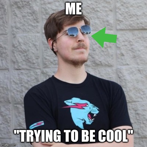 Mr. Beast | ME; "TRYING TO BE COOL" | image tagged in mr beast | made w/ Imgflip meme maker