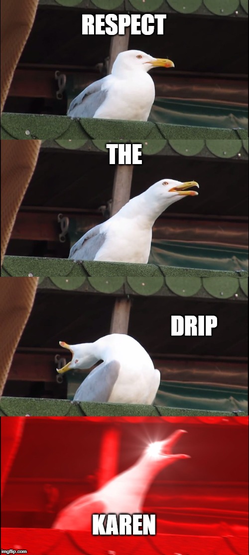 Inhaling Seagull Meme | RESPECT; THE; DRIP; KAREN | image tagged in memes,inhaling seagull | made w/ Imgflip meme maker