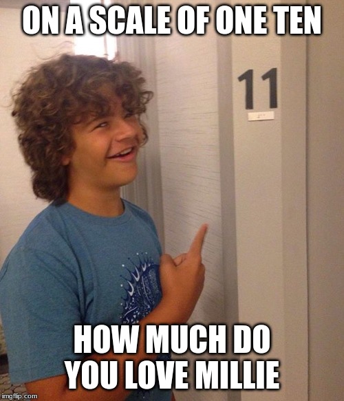 on a scale of one to ten | ON A SCALE OF ONE TEN; HOW MUCH DO YOU LOVE MILLIE | image tagged in on a scale of one to ten | made w/ Imgflip meme maker